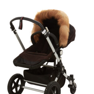 red_fox_new_720x (1)