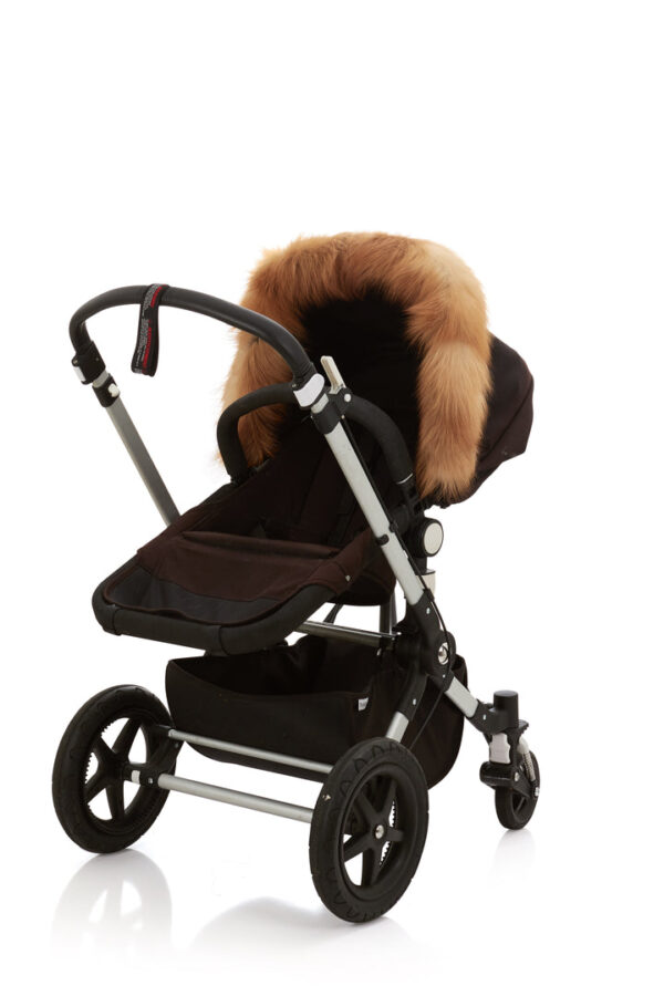 red_fox_new_720x (1)